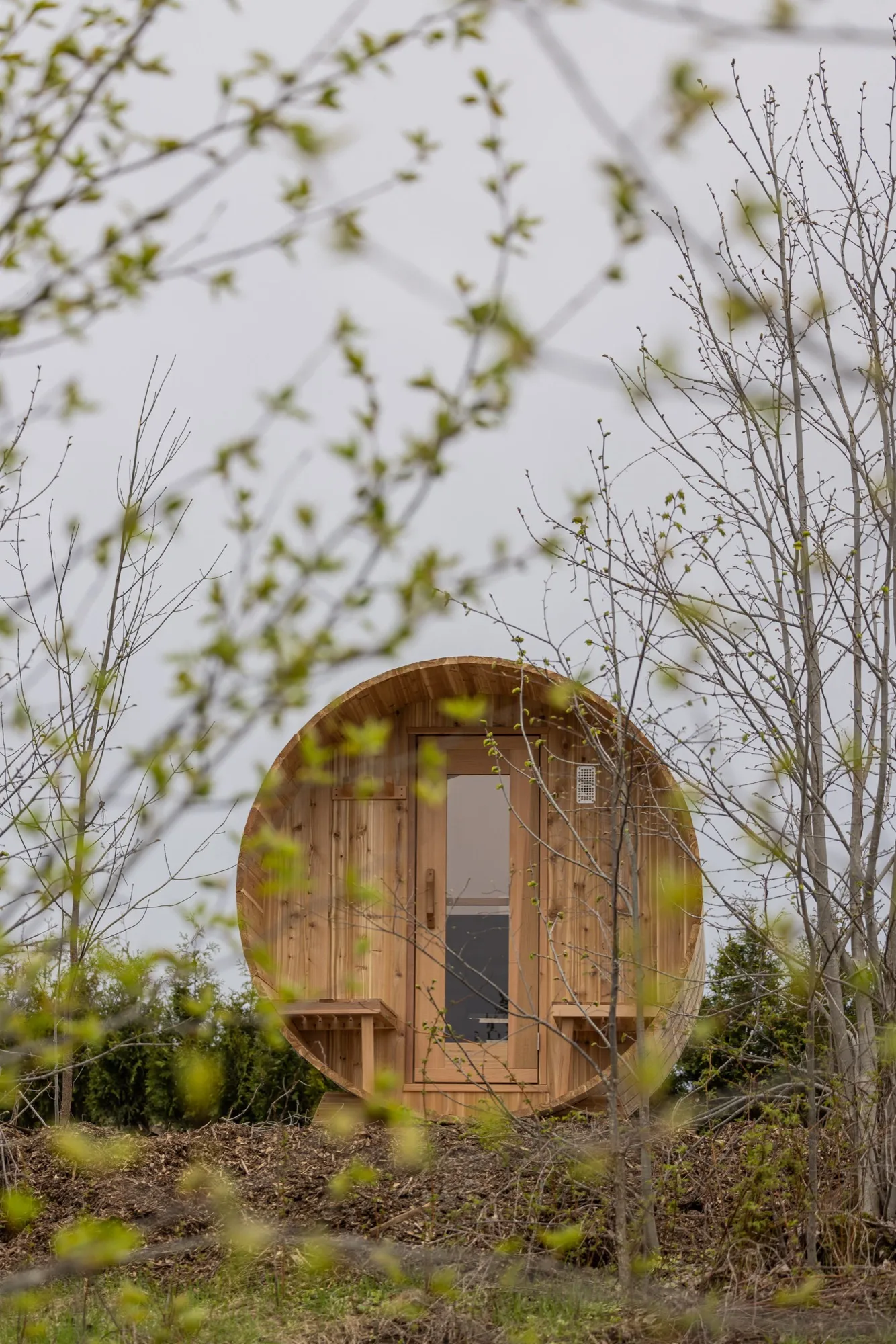 A cedar barrel sauna standing among young trees, seen through spring branches.